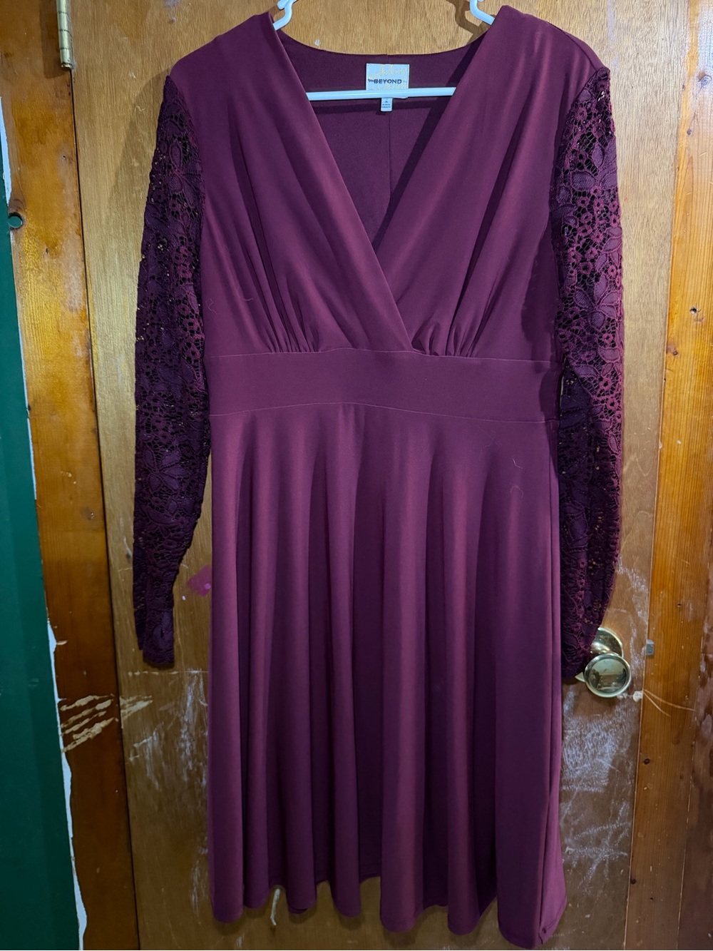 Wine Lace-Sleeve V-Neck Dress